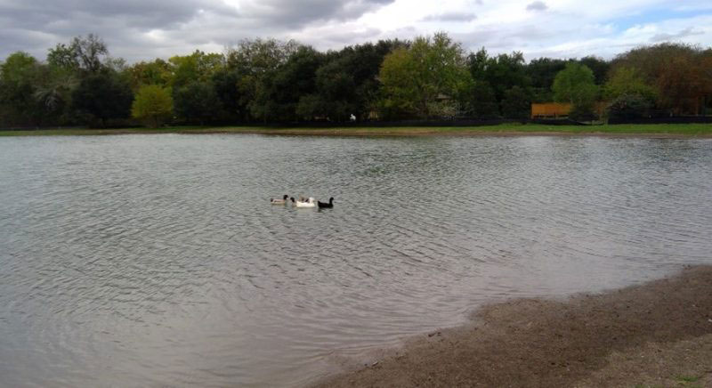 Fort Bend County WCID No. 3 Lake 5